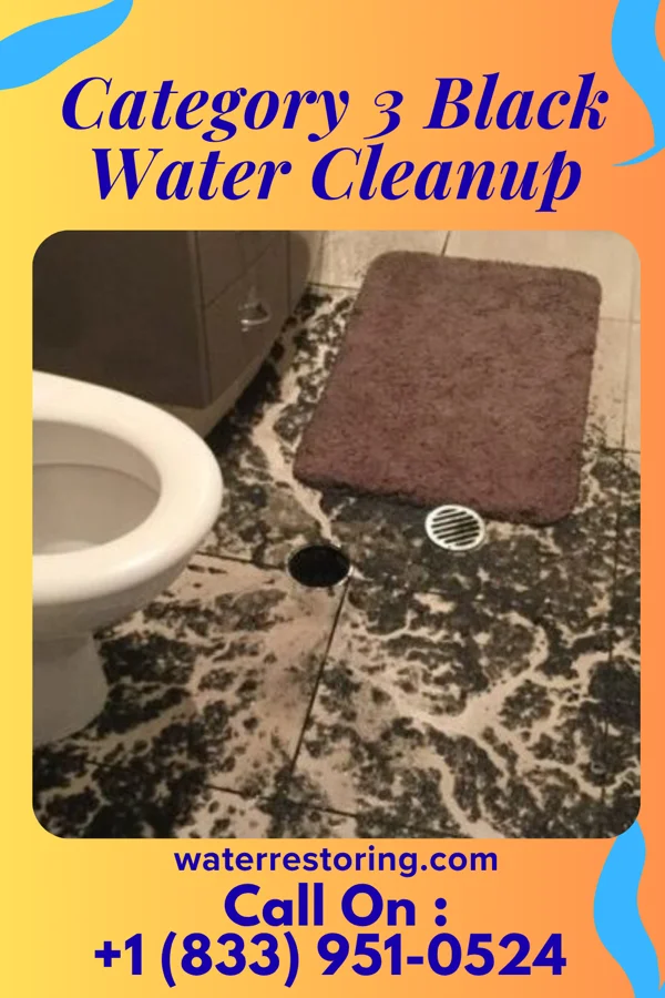 Category 3 Black Water Cleanup in Banner Hill, TN