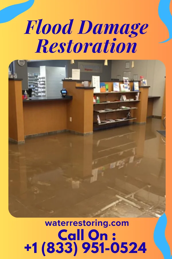 Flood Damage Restoration in Banner Hill, TN