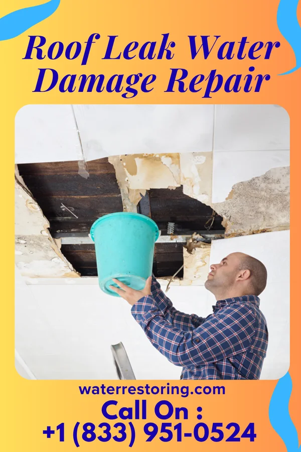 Roof Leak Water Damage Repair in Banner Hill, TN